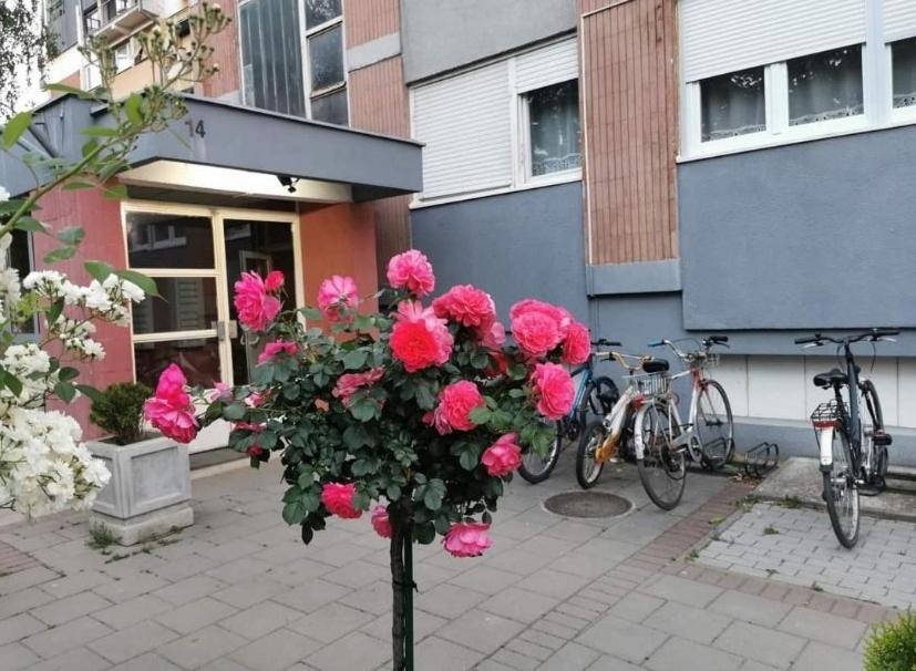Vuk Apartment Cacak Luaran gambar